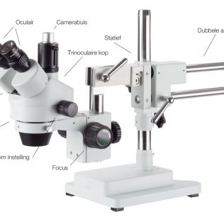 kaisi 37045A(STL2) Microscope